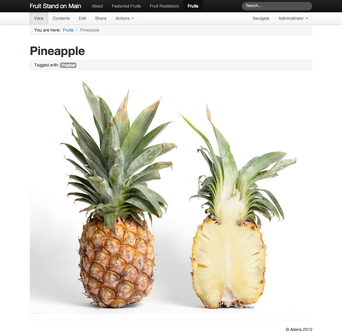 ../_images/pineapple.png